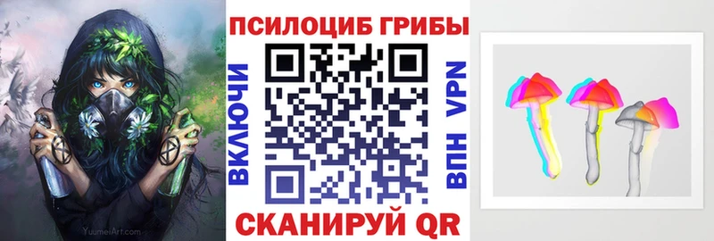 Галлюциногенные грибы мухоморы  omg ссылка  Бежецк  купить  